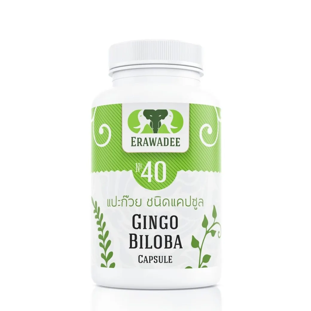 Средство для сосудов головного мозга Ginkgo Biloba No.40