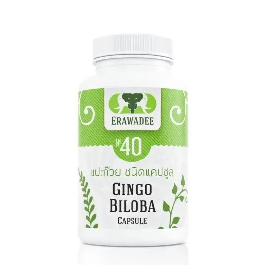 Средство для сосудов головного мозга Ginkgo Biloba No.40