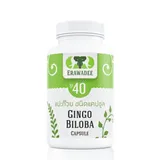 Средство для сосудов головного мозга Ginkgo Biloba No.40 1