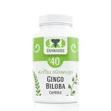 Средство для сосудов головного мозга Ginkgo Biloba No.40 1