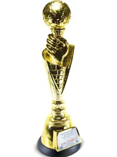 Award 11