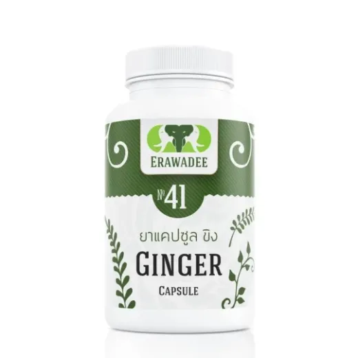 No.41 Активатор Пищеварения Ginger