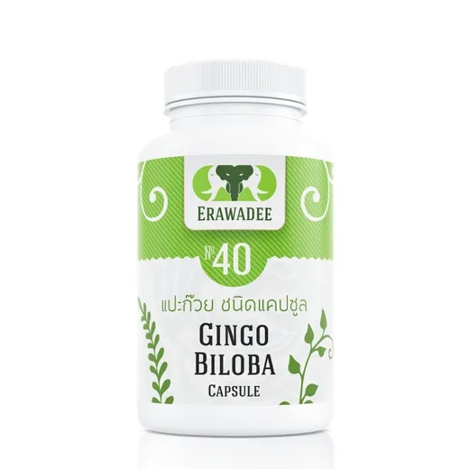 Средство для сосудов головного мозга Ginkgo Biloba No.40