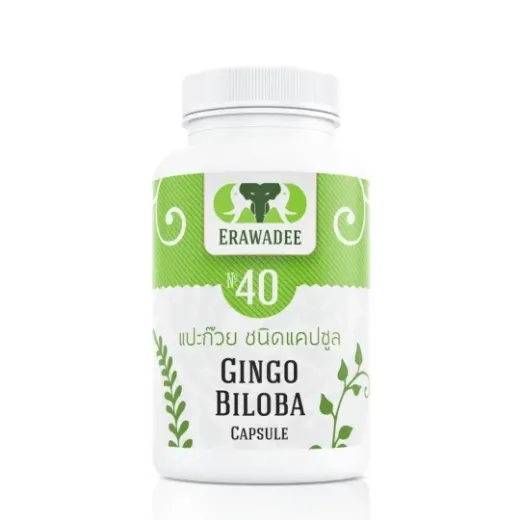 Средство для сосудов головного мозга Ginkgo Biloba No.40