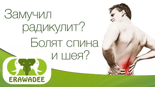 Выстрел в спину отпуску