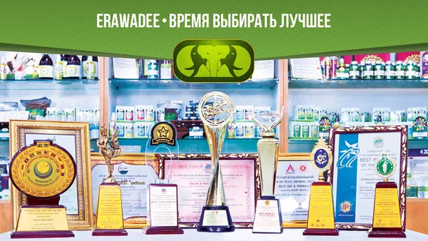 Наши награды