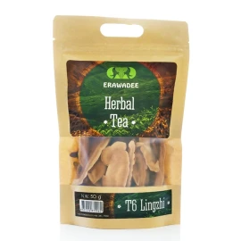 T6 Teh Herbal Lingzhi (Peningkatan Kesehatan yang Utama)