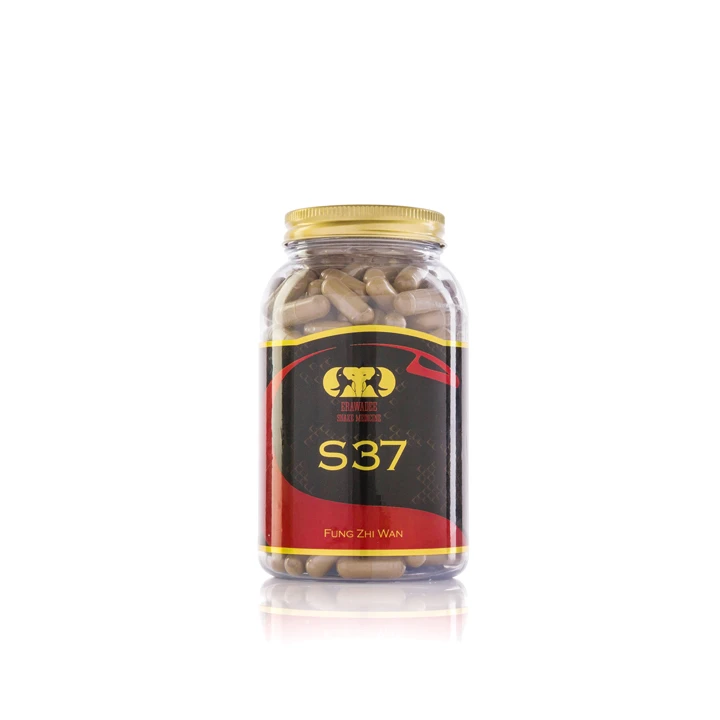 S37 Musculoskeletal System Treatment Fung Zhi Wan 240 pills
