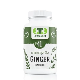 No.41 Активатор Пищеварения Ginger