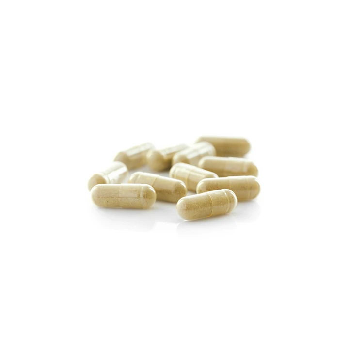 No.40 Ginkgo biloba 250 mg 100 capsules
