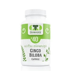 No.40 Ginkgo biloba (Medication for Cerebral Vessels)